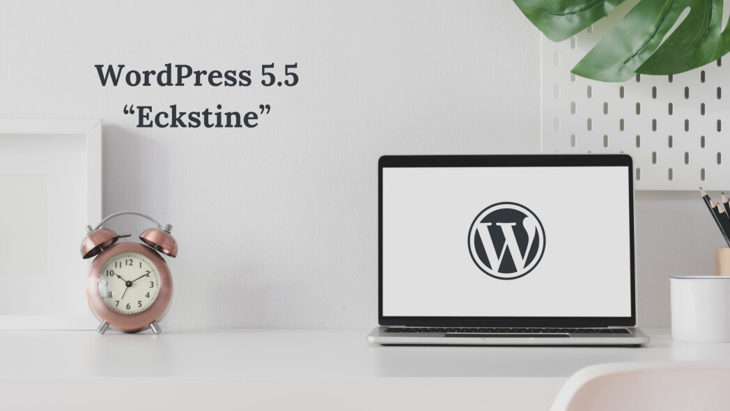 WordPress 5.5, un bref aperçu